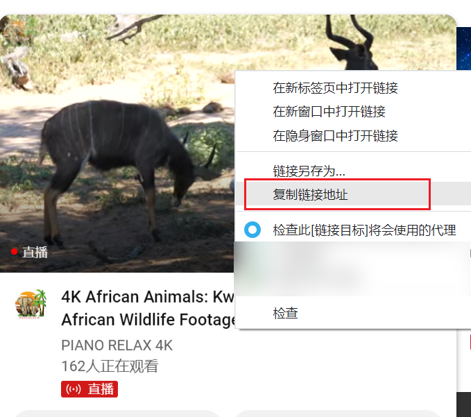 1.复制YouTube直播地址操作截图
